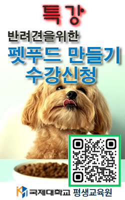 특강 안내